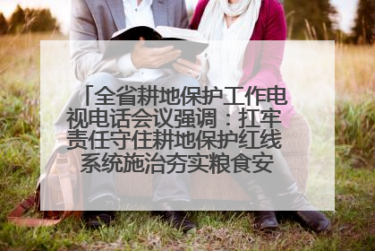全省耕地保护工作电视电话会议强调：扛牢责任守住耕地保护红线 系统施治夯实粮食安全根基 王宁作出批示 王予波出席并讲话