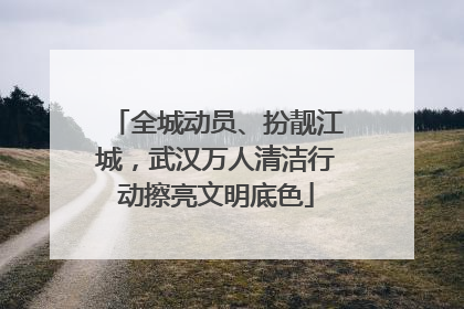 全城动员、扮靓江城，武汉万人清洁行动擦亮文明底色
