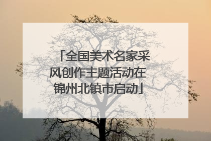 全国美术名家采风创作主题活动在锦州北镇市启动