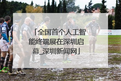 全国首个人工智能终端展在深圳启幕_深圳新闻网