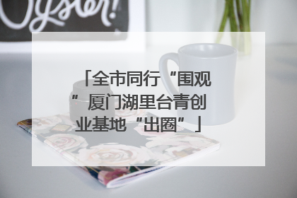 全市同行“围观”厦门湖里台青创业基地“出圈”