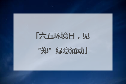 六五环境日，见“郑”绿意涌动