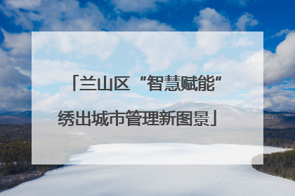 兰山区“智慧赋能”绣出城市管理新图景