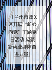 兰州市城关区开展“新心向党”主题党日活动 凝聚新就业群体奋进力量