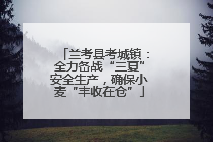 兰考县考城镇：全力备战“三夏”安全生产，确保小麦“丰收在仓”