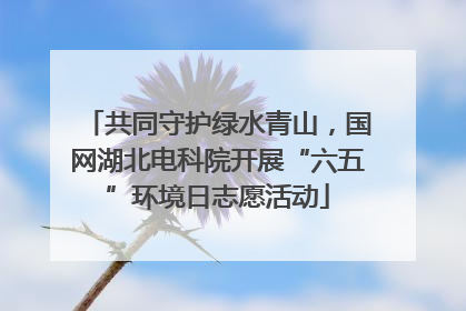 共同守护绿水青山，国网湖北电科院开展“六五”环境日志愿活动