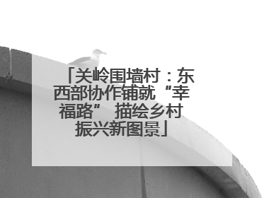 关岭围墙村：东西部协作铺就“幸福路” 描绘乡村振兴新图景