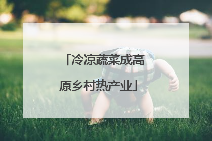 冷凉蔬菜成高原乡村热产业