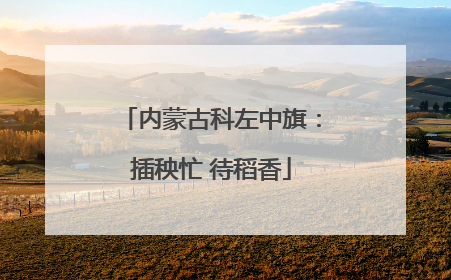 内蒙古科左中旗：插秧忙 待稻香