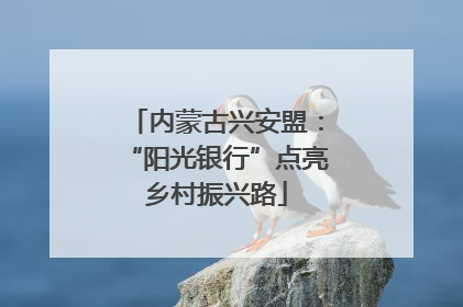 内蒙古兴安盟：“阳光银行”点亮乡村振兴路