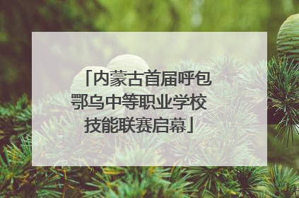 内蒙古首届呼包鄂乌中等职业学校技能联赛启幕