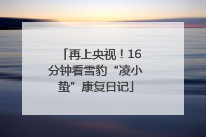 再上央视！16分钟看雪豹“凌小蛰”康复日记