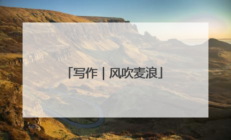 写作｜风吹麦浪