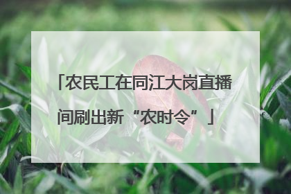 农民工在同江大岗直播间刷出新“农时令”
