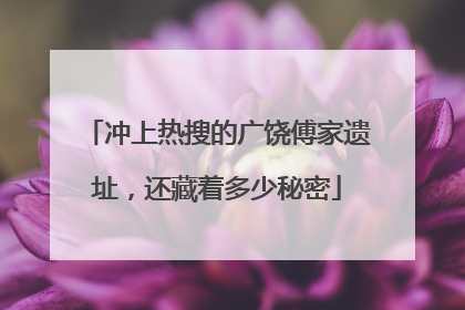 冲上热搜的广饶傅家遗址，还藏着多少秘密