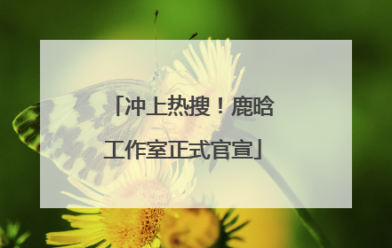 冲上热搜！鹿晗工作室正式官宣