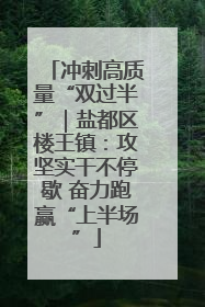 冲刺高质量“双过半”｜盐都区楼王镇：攻坚实干不停歇 奋力跑赢“上半场”