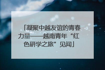 凝聚中越友谊的青春力量——越南青年“红色研学之旅”见闻
