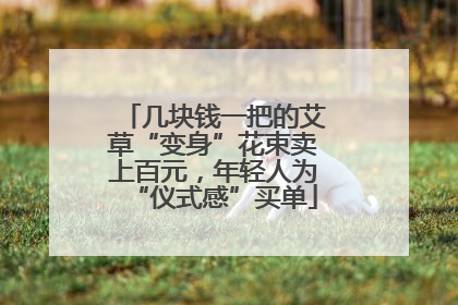 几块钱一把的艾草“变身”花束卖上百元，年轻人为“仪式感”买单
