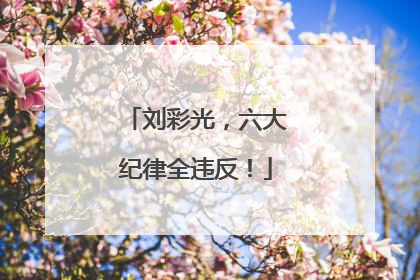 刘彩光，六大纪律全违反！
