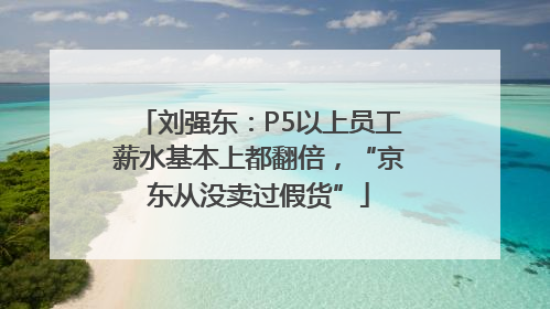 刘强东：P5以上员工薪水基本上都翻倍，“京东从没卖过假货”