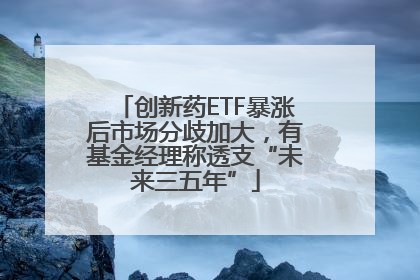创新药ETF暴涨后市场分歧加大，有基金经理称透支“未来三五年”