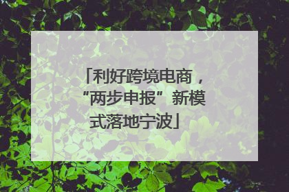 利好跨境电商，“两步申报”新模式落地宁波