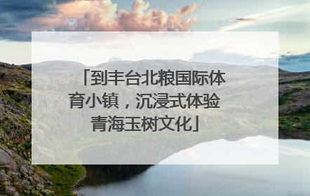 到丰台北粮国际体育小镇，沉浸式体验青海玉树文化