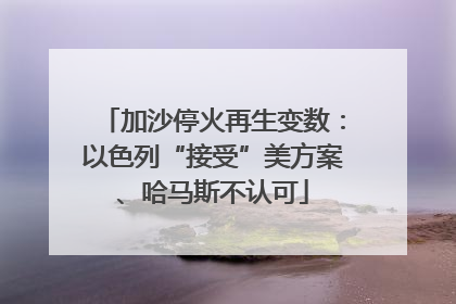 加沙停火再生变数：以色列“接受”美方案、哈马斯不认可