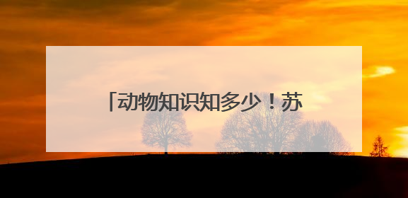 动物知识知多少！苏州相城建元社区开展生物多样性科普活动