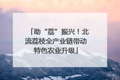 助“荔”振兴！北流荔枝全产业链带动特色农业升级