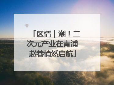 区情｜潮！二次元产业在青浦赵巷悄然启航