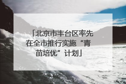 北京市丰台区率先在全市推行实施“青苗培优”计划