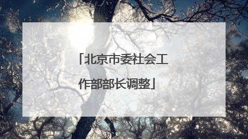 北京市委社会工作部部长调整