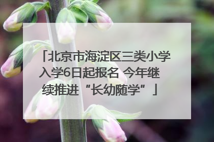 北京市海淀区三类小学入学6日起报名 今年继续推进“长幼随学”