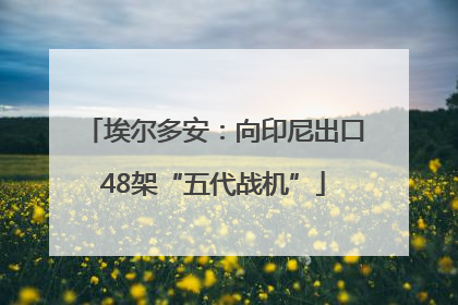 埃尔多安：向印尼出口48架“五代战机”
