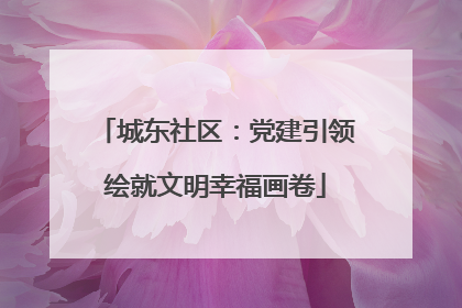 城东社区：党建引领绘就文明幸福画卷