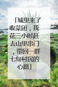 城里来了收菜团，我花三小时赶去山里串门，带回一群七旬村民的心愿