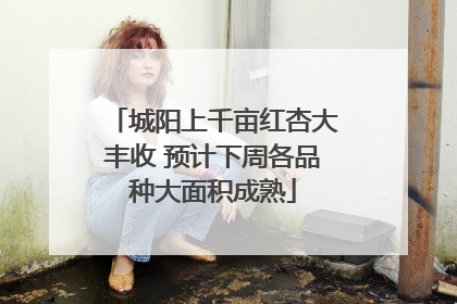 城阳上千亩红杏大丰收 预计下周各品种大面积成熟