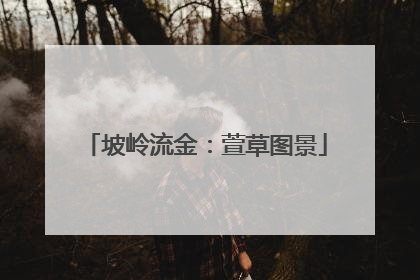坡岭流金：萱草图景