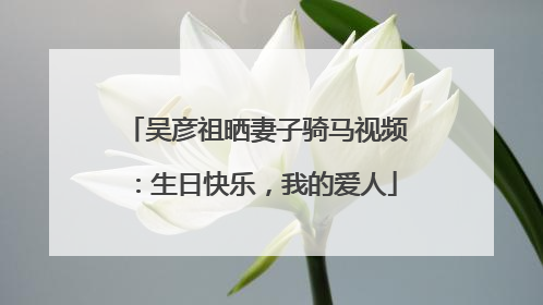 吴彦祖晒妻子骑马视频：生日快乐，我的爱人