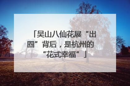 吴山八仙花展“出圈”背后，是杭州的“花式幸福”