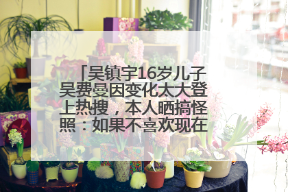 吴镇宇16岁儿子吴费曼因变化太大登上热搜，本人晒搞怪照：如果不喜欢现在的我可以离开