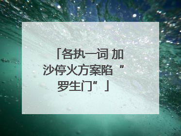 各执一词 加沙停火方案陷“罗生门”
