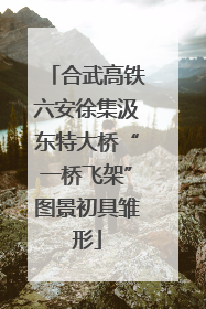 合武高铁六安徐集汲东特大桥“一桥飞架”图景初具雏形