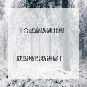 合武高铁湖北段建设取得新进展
