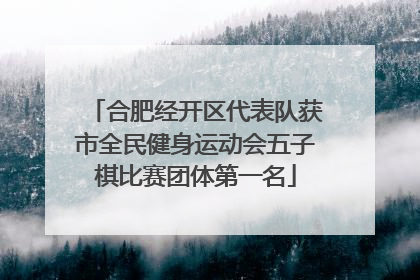 合肥经开区代表队获市全民健身运动会五子棋比赛团体第一名