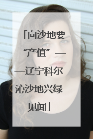 向沙地要“产值”——辽宁科尔沁沙地兴绿见闻