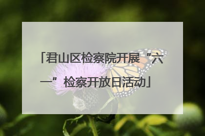 君山区检察院开展“六一”检察开放日活动