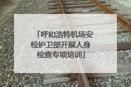 呼和浩特机场安检护卫部开展人身检查专项培训